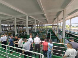 Ò¼¶¨·¢(ÖйúÓÎ)×îйٷ½ÍøÕ¾